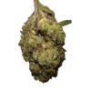 24K – 3.5g Strain uk